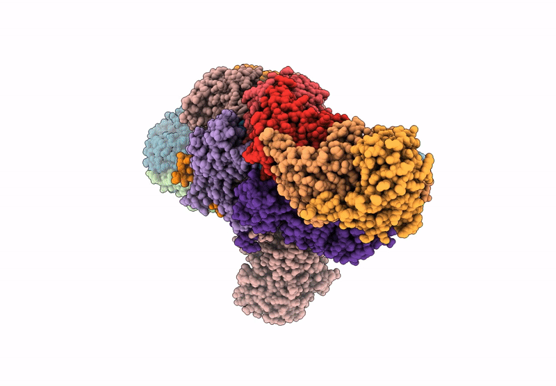 9J9E image