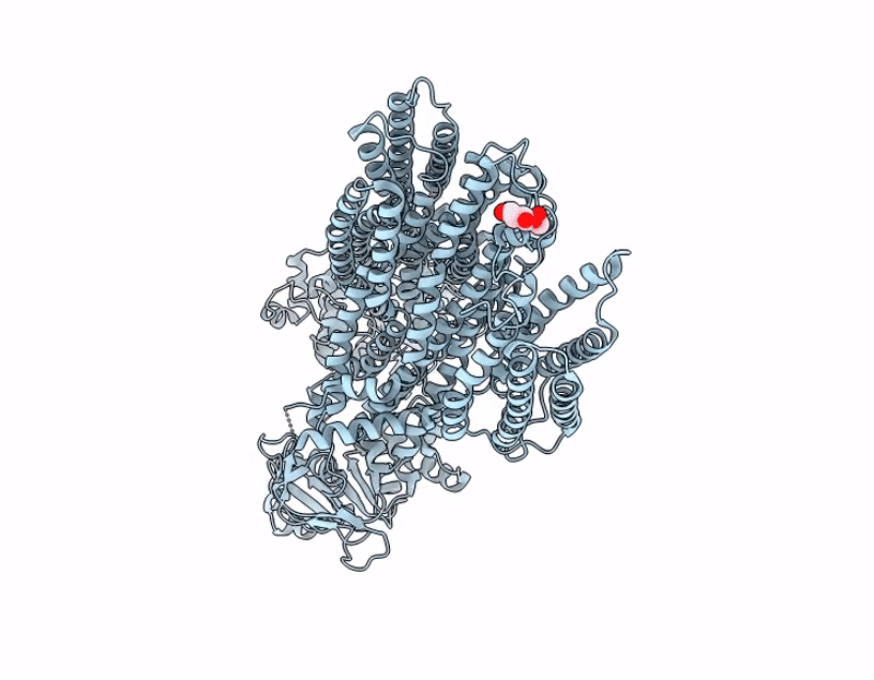9J9F image