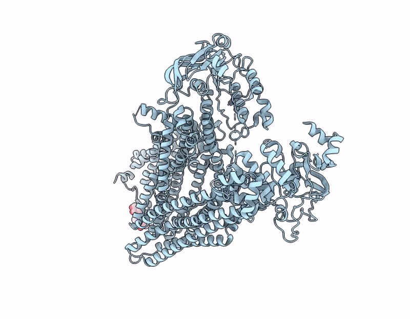 9J9G image