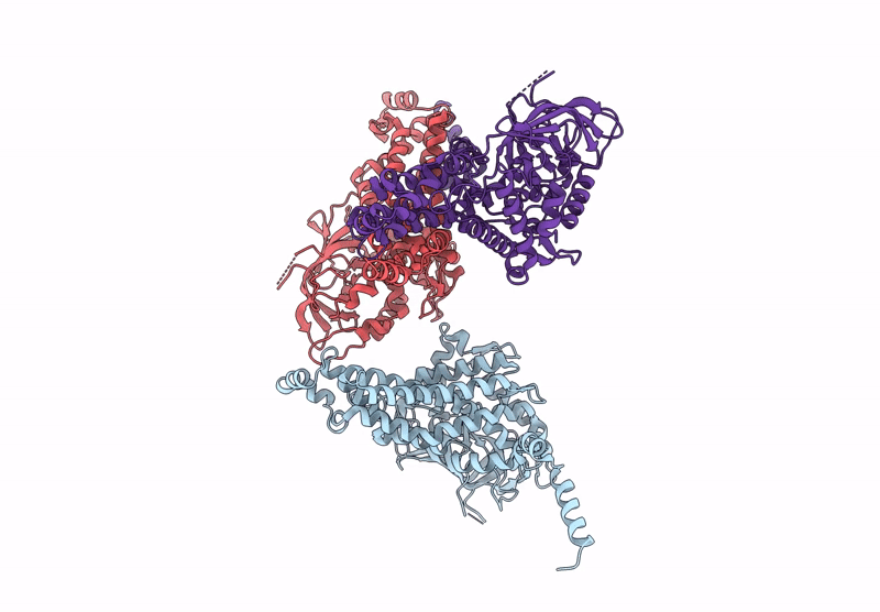 9J9J image