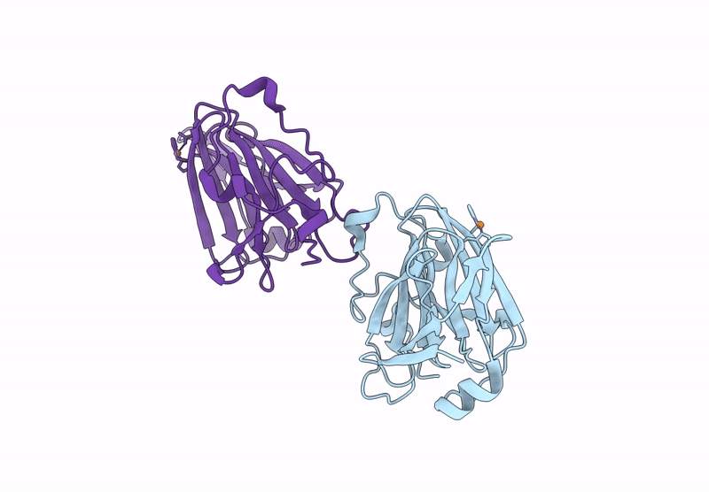 9J9Q image