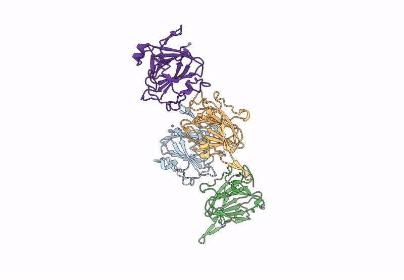 9J9S image