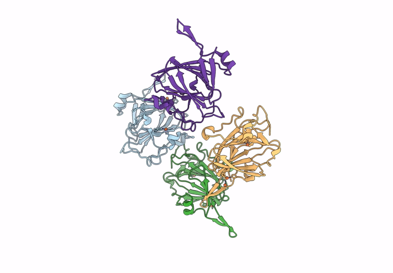 9J9V image