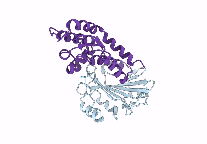 9J9W image