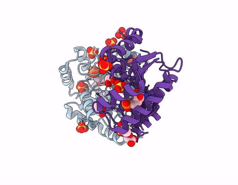 9JAF image