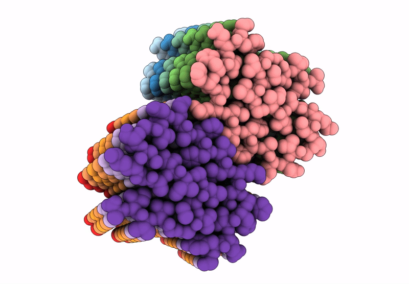 9JB1 image