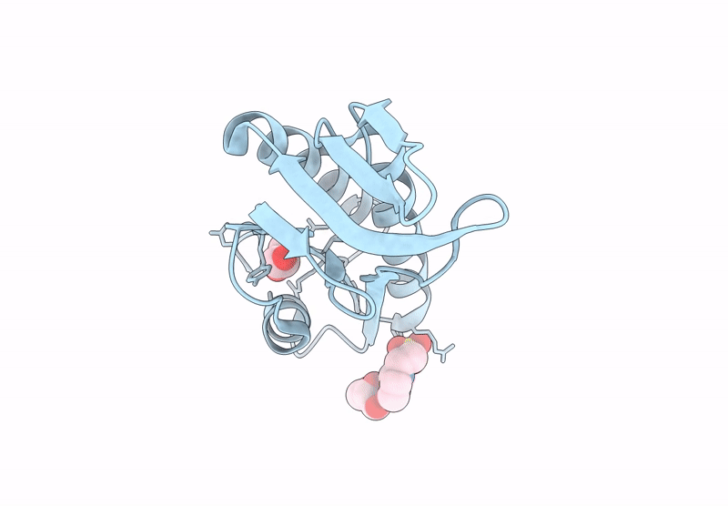 9JBD image