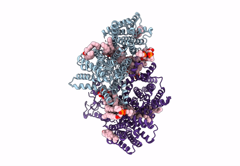 9JBF image