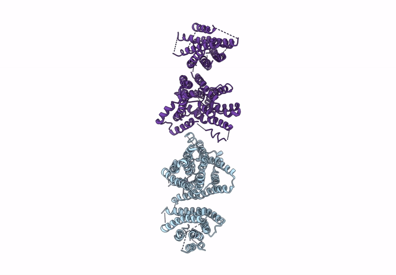9JBI image