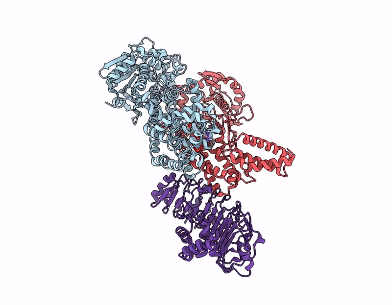 9JBN image