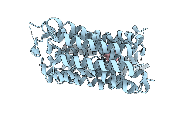 9JBT image