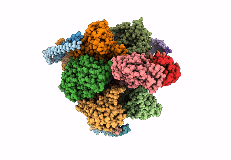 9JC1 image