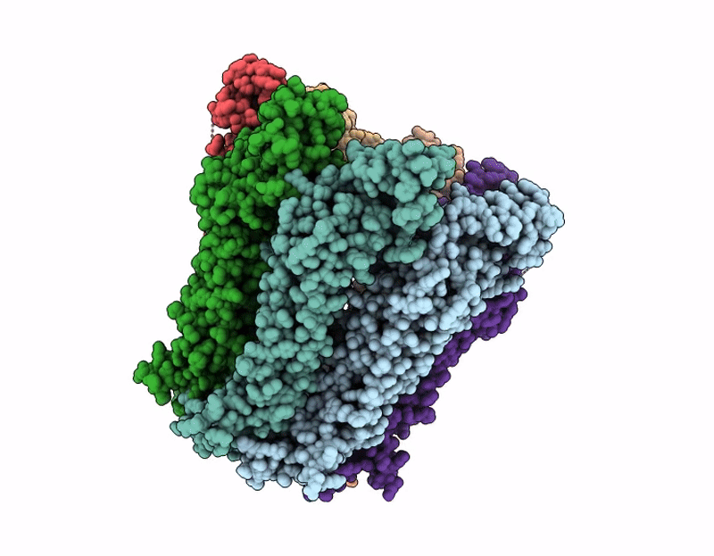 9JCF image