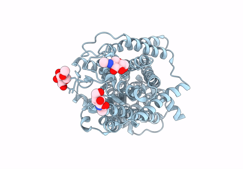 9JCV image