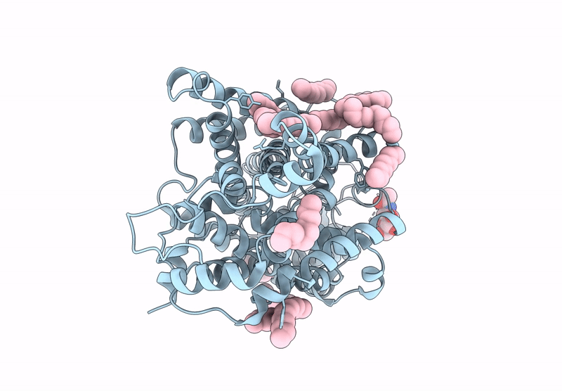 9JDG image