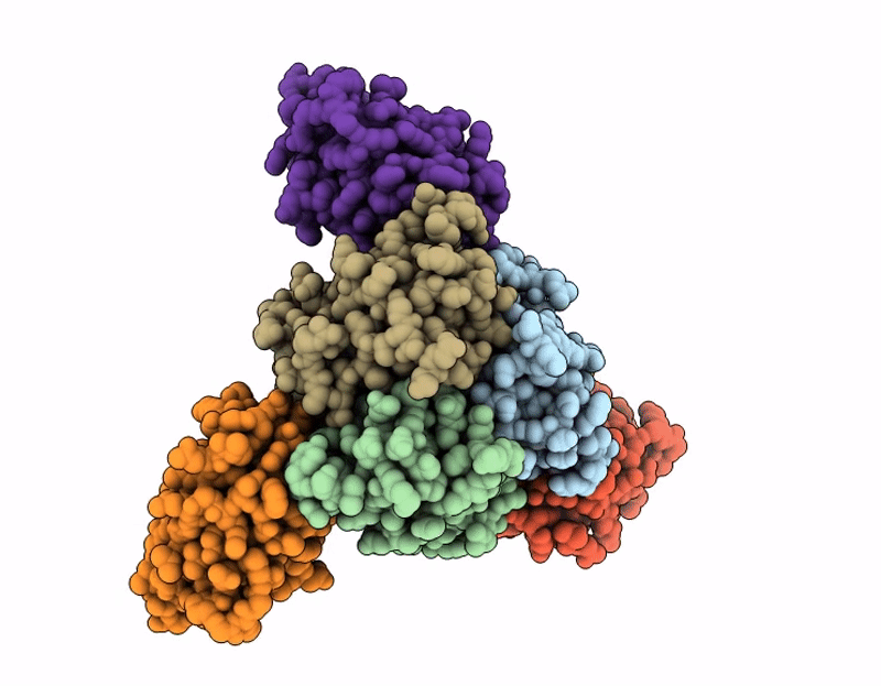 9JEC image
