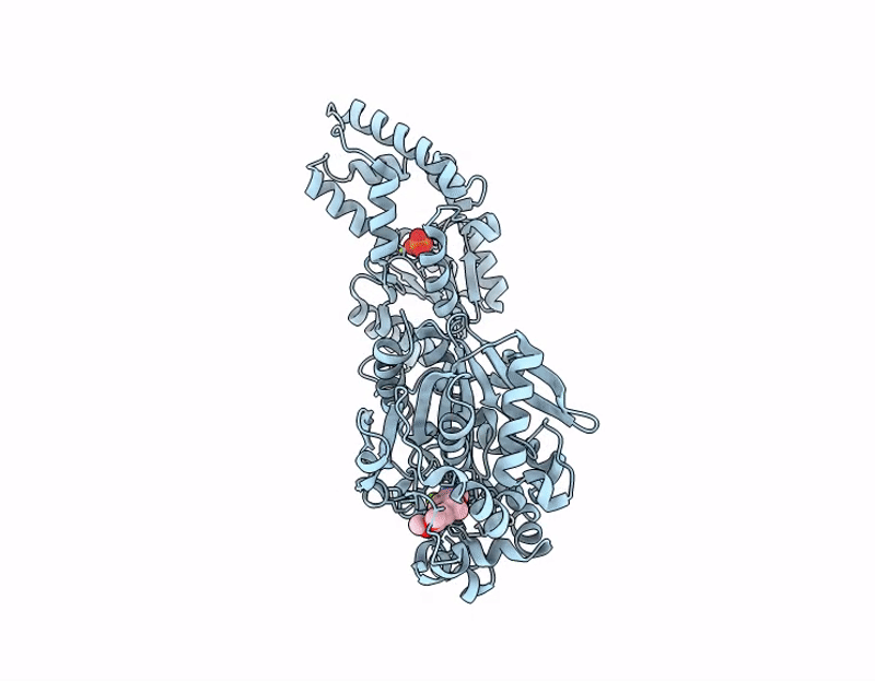 9JFM image