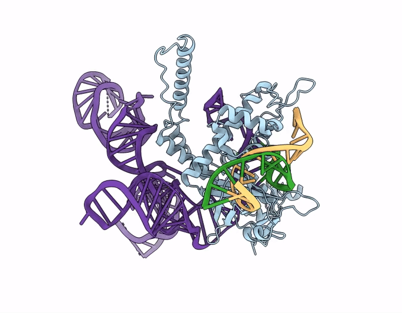 9JFP image