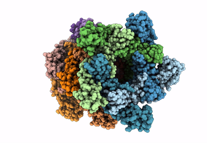 9JGI image