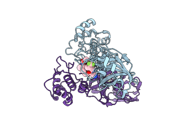 9JGU image