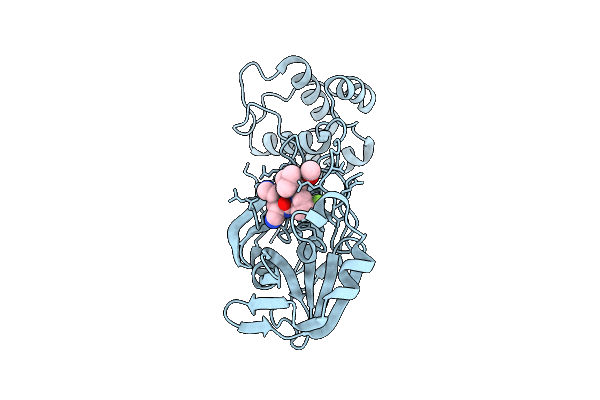 9JGY image