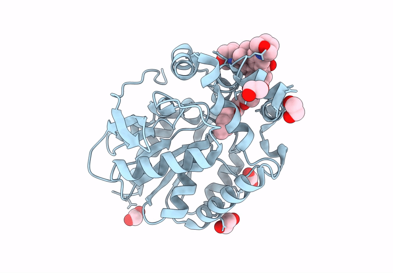 9JHA image