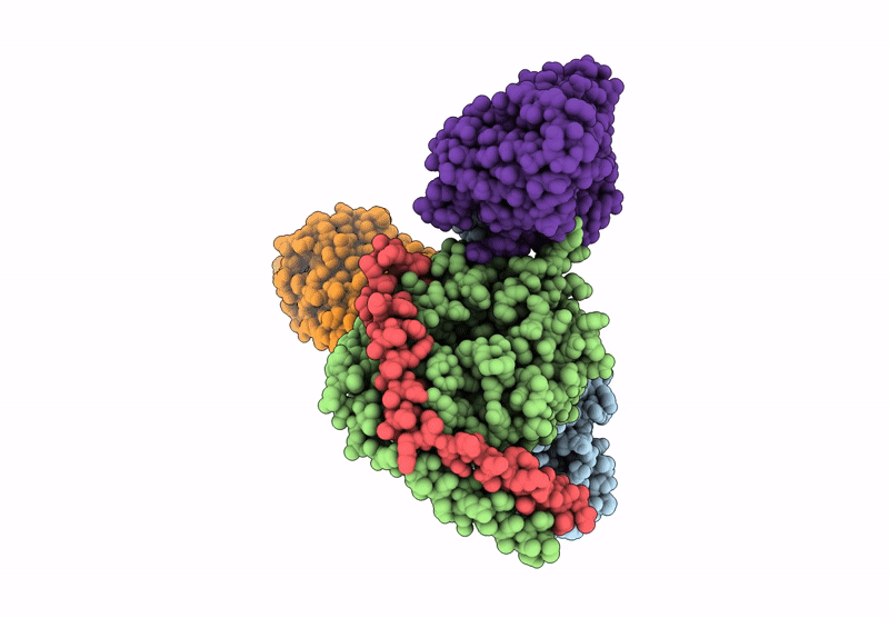 9JHP image