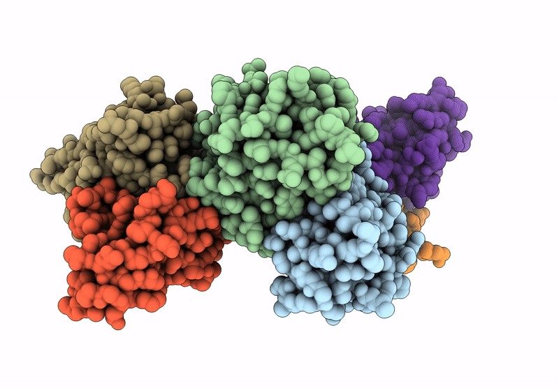 9JIG image