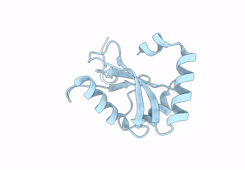 9JJD image