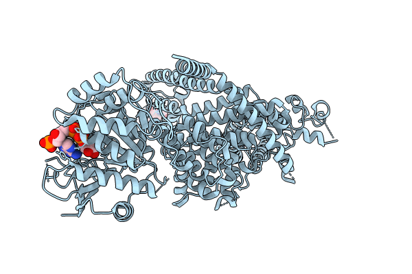 9JJF image