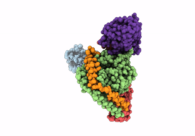 9JKV image