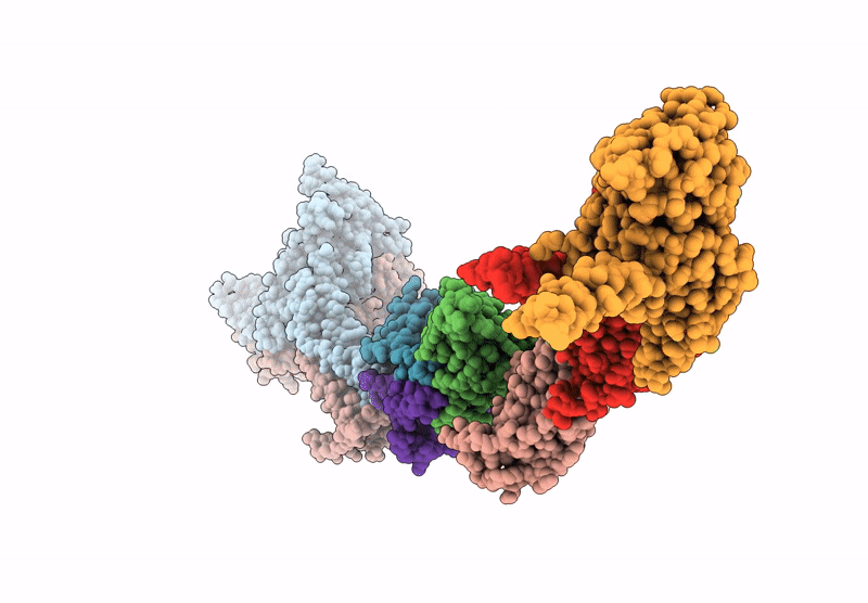 9JLF image