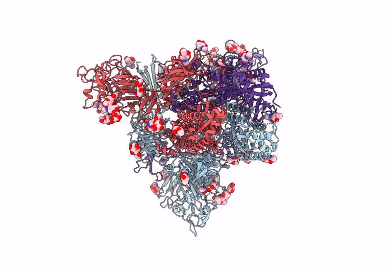 9JMP image