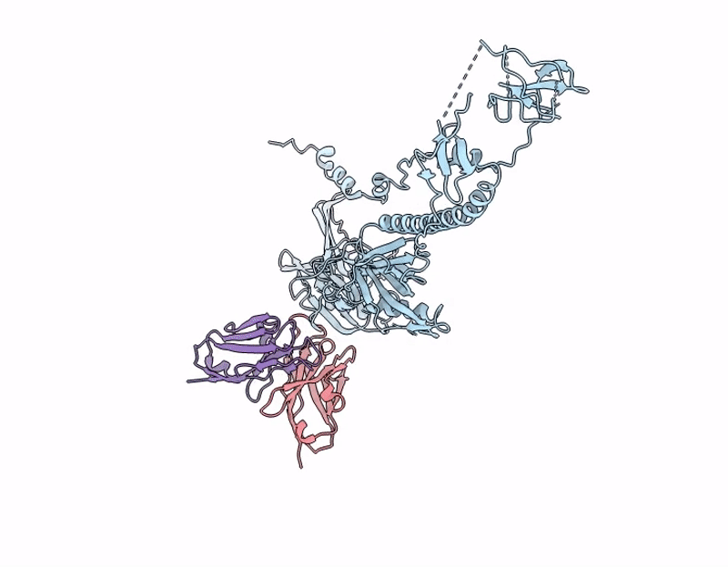 9JMR image