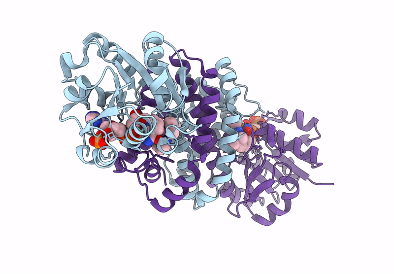 9JMX image