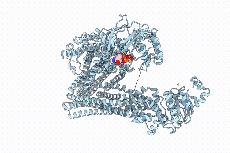 9JN2 image