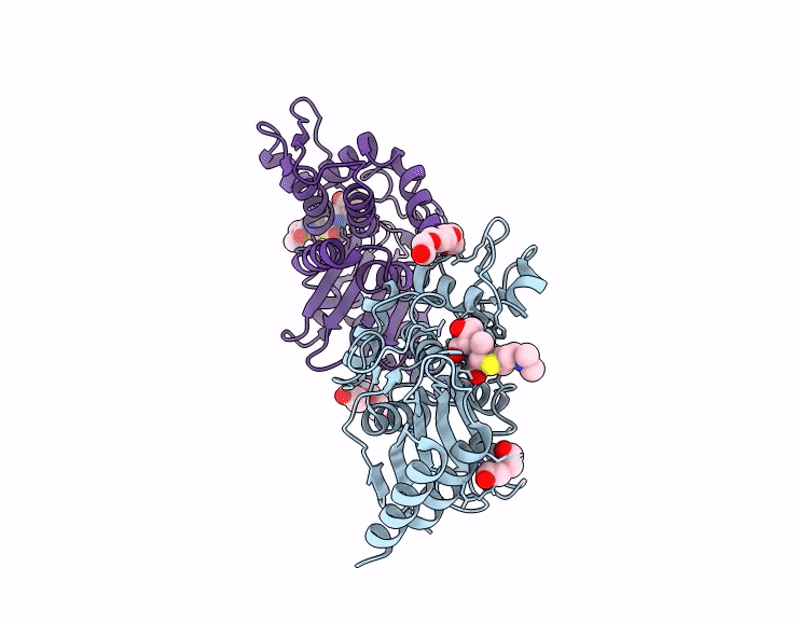 9JNA image