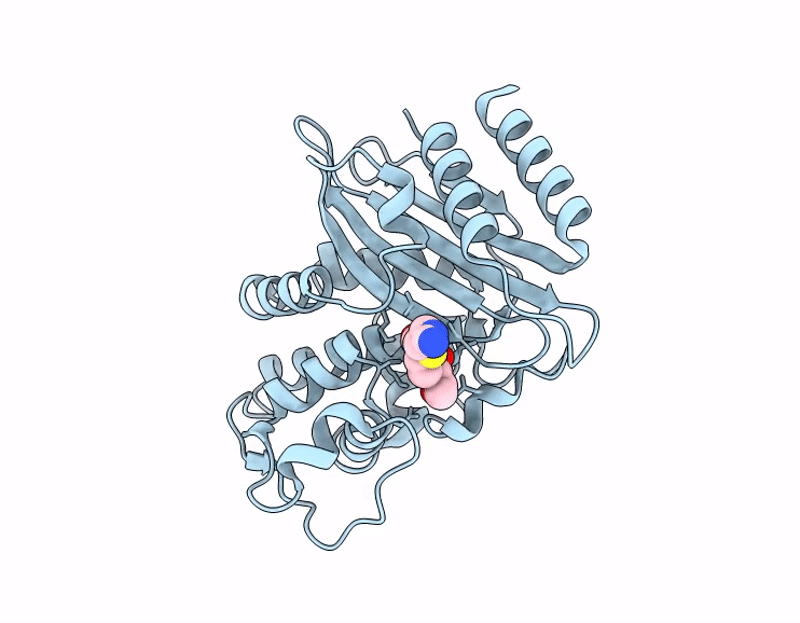 9JNB image