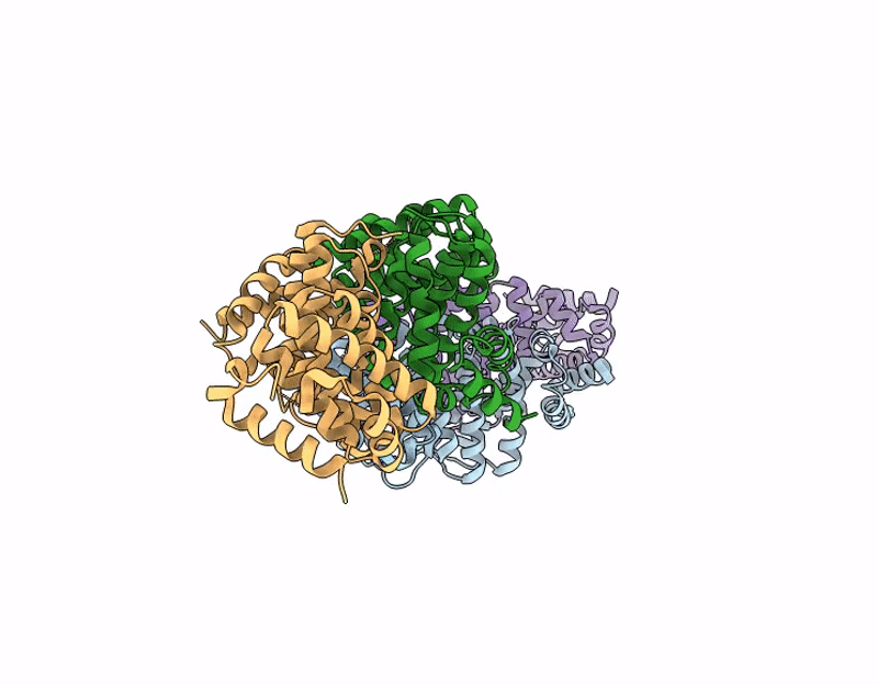 9JNJ image