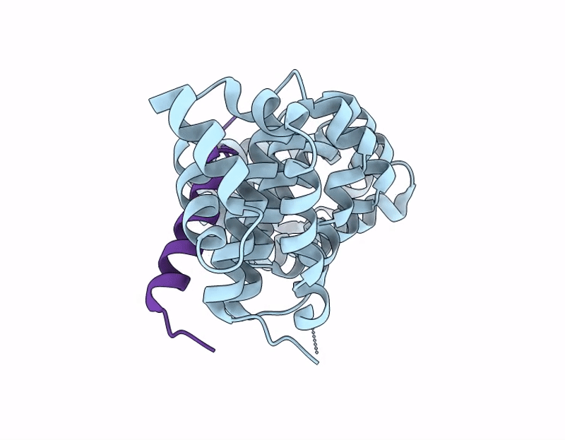 9JNL image