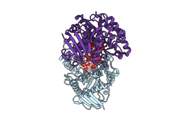 9JOG image