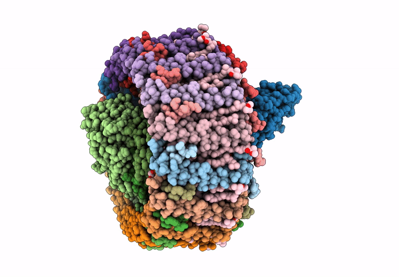 9JPB image