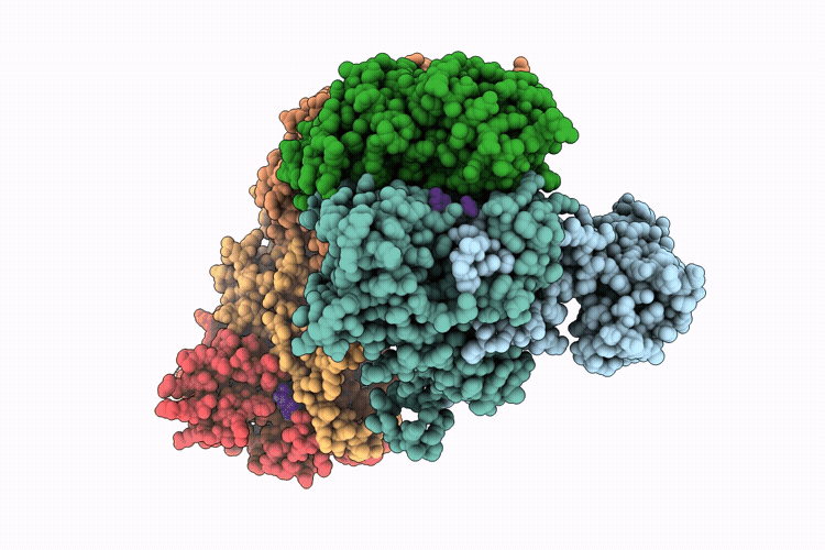 9JPF image