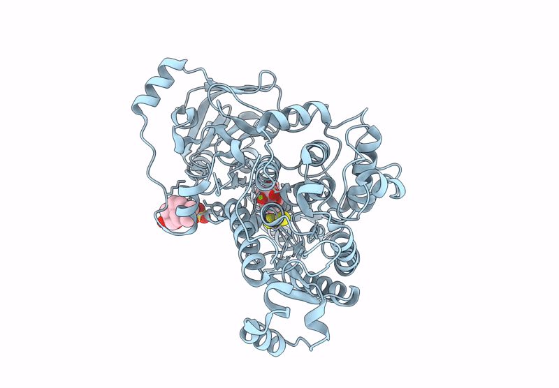 9JPI image