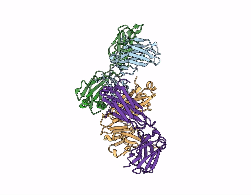 9JPV image