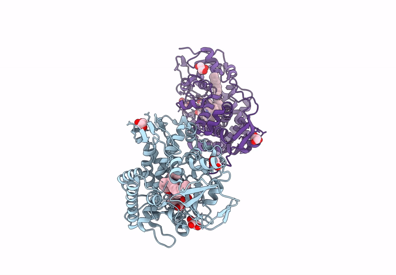 9JQM image