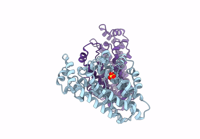9JQS image