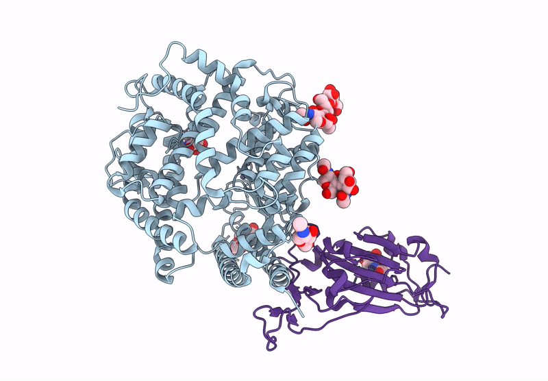 9JRC image