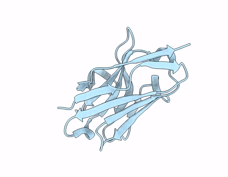 9JRS image