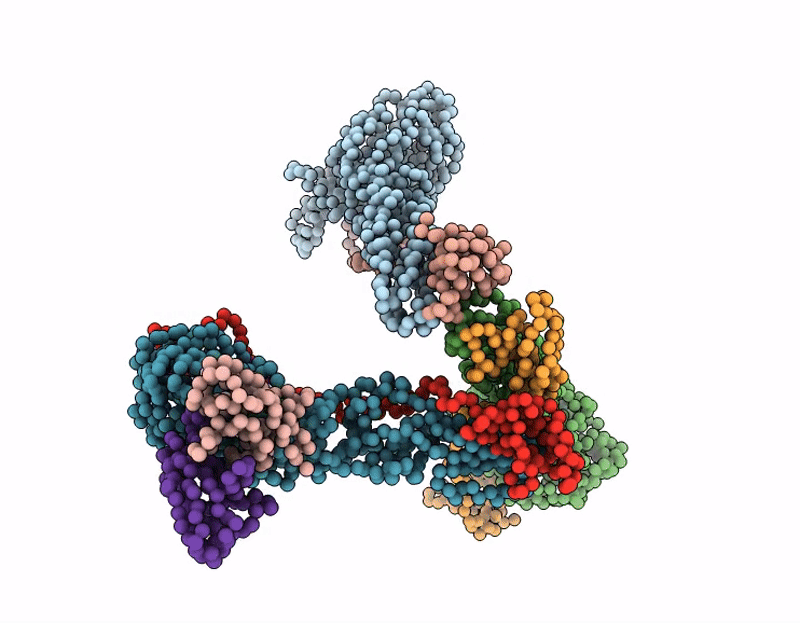 9JS6 image
